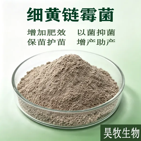 细黄链霉菌生物菌肥壮苗防病害防流胶腐烂青枯微生物菌剂