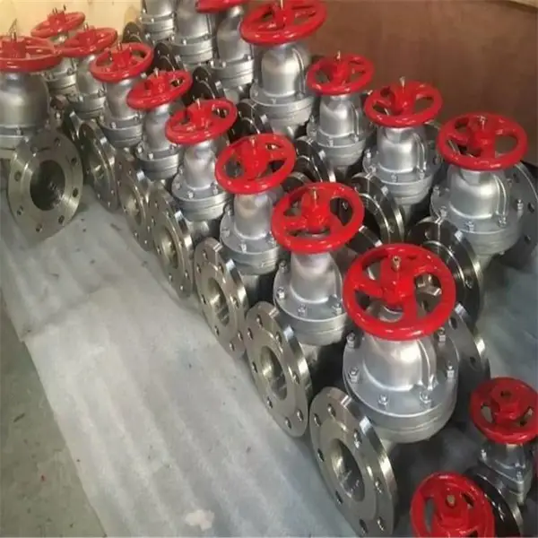 EG41W-16P DN65 �޳���Ľ���Ĥ�� ��������Ӣ���Ĥ�� �ӽ��з�������