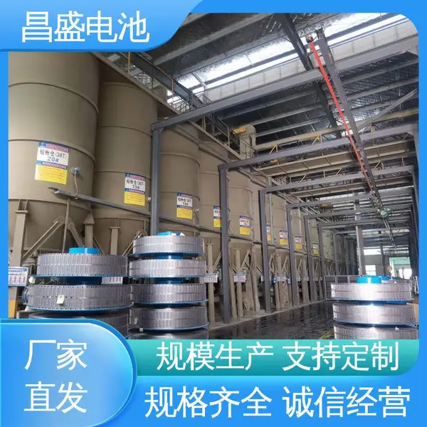 ��ʢ OPzV2-100 ͨ�� �ź�ϵͳ���õ�Դ ̫���ܵ�� ��ʽ��������