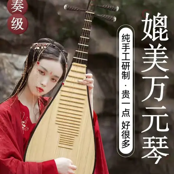 喜音鸡翅木琵琶乐器初学者入门儿童成人花梨木专业考级演奏琵琶琴