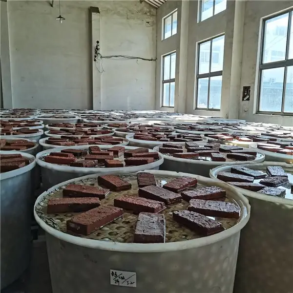 ��Ӧ���� 500������ˮͰ �󳨿��絰��Ͱ ����peͰ ����Ͱһ������