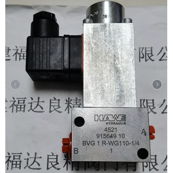 ��Ӧ HAWE���� Һѹ�� ����BVG 1 R-WG110-1/4
