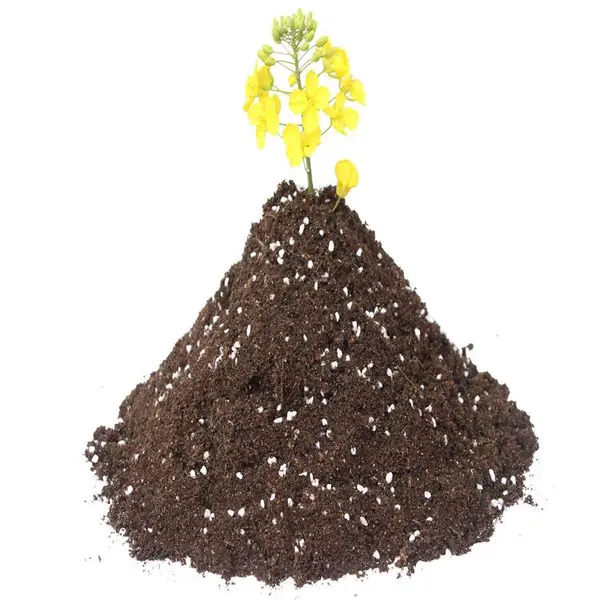 乐山腐殖土 营养土 育苗基质 草炭土 辣椒蔬菜育苗基质