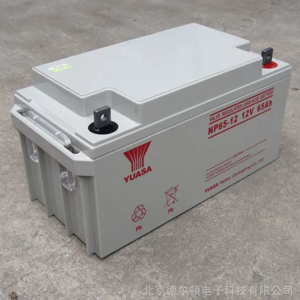 YUASA 汤浅蓄电池NP65-12 12V65AH铅酸UPS电池 UPS电源汤浅电池