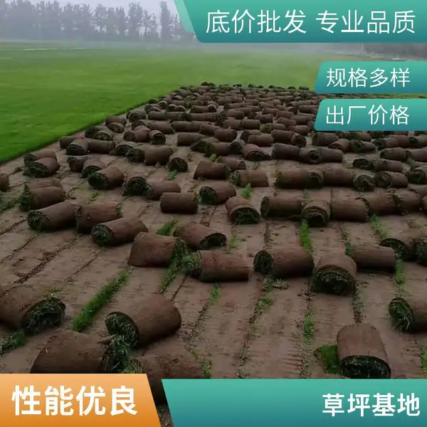 别墅私家花园设计批发铺装别墅花园设计草坪铺装海淀
