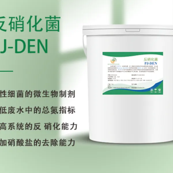 反硝化菌PJ-DEN