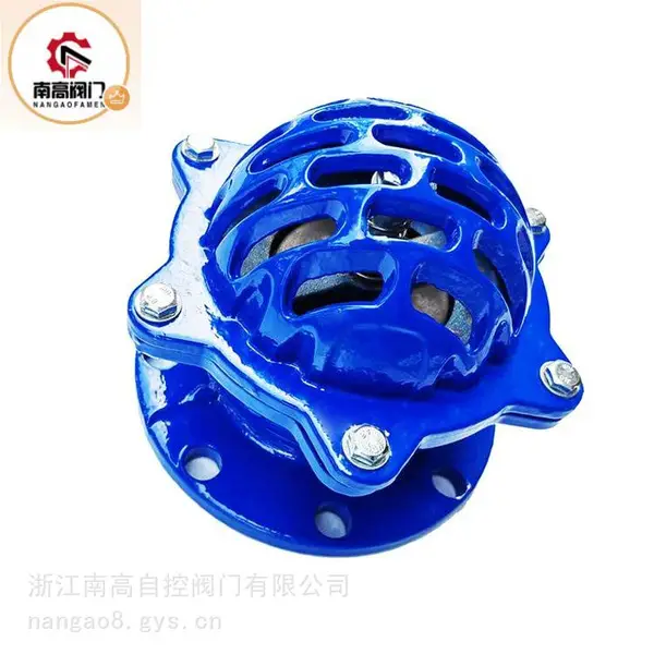 H42X-16C 不锈钢铸钢底阀 水泵吸水用法兰连接升降式南高阀门