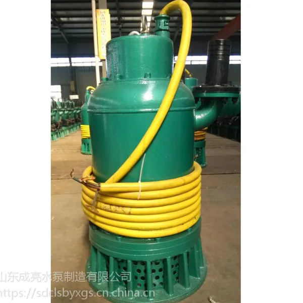 【山东成亮】BQS80-20-11 矿用隔爆潜污泵