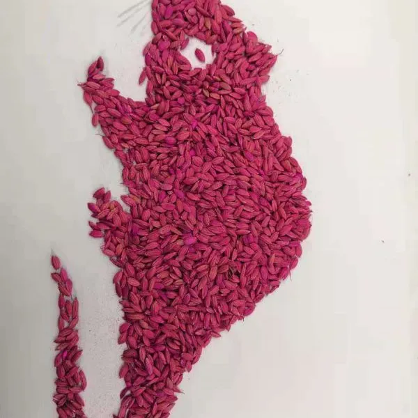 南昌灭鼠价格,南昌酒店灭鼠价格,南昌灭鼠公司收费标准