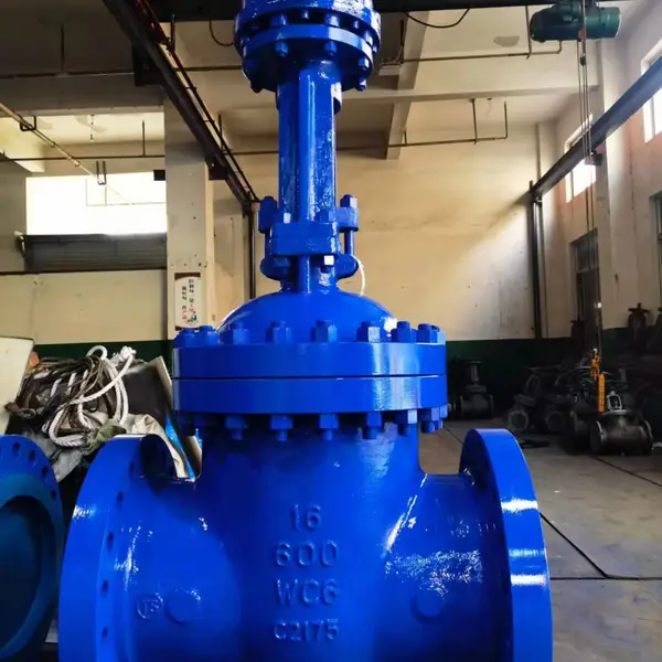 浙江阳达阀门; 美标高压闸阀Z541H-600LB WC6