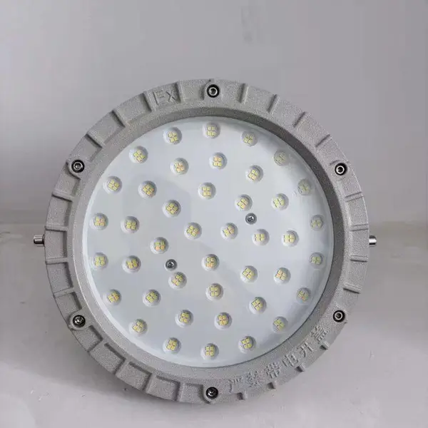 WARZM华荣 免维修LED防爆灯RLEEXL5016-XL300 LED固态照明灯 JBD-300
