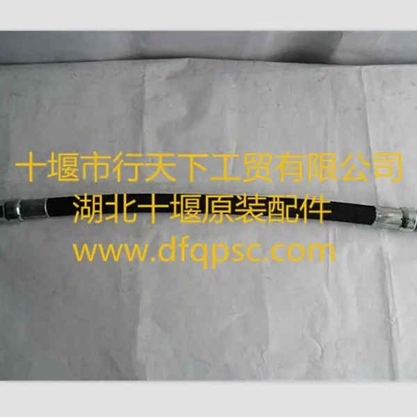 ����ʮ�߶��翵��˹6CTҶƬ������_34N12-05032