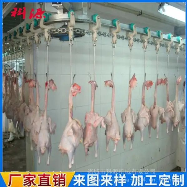 ky-宰鸡自动化流水线.家禽屠宰流水线 鸡鸭鹅脱毛流水线