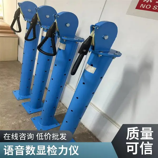 智能数显检力器 语音播报测力设备 灵敏度高 矿山安全训练器材现货