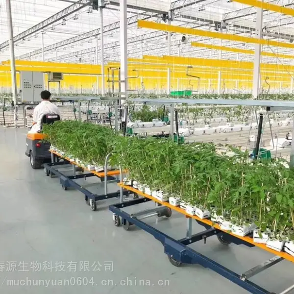 供应蓝色粘虫带 PE材质诱虫带 OEM代加工防虫胶带厂家