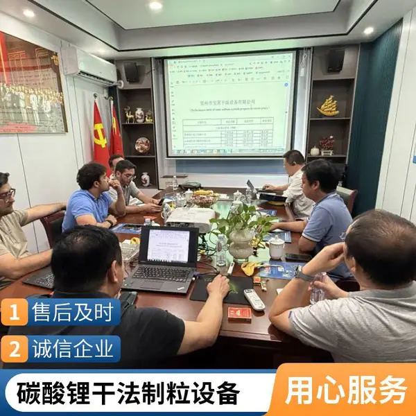 碳酸锂造粒机厂家 双辊干法造粒机 碳酸锂粉末制粒 常州市