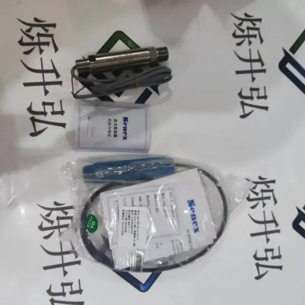 �»��ϼ�SENEX DG1300-BZ-1-2-1.0ѹ��������