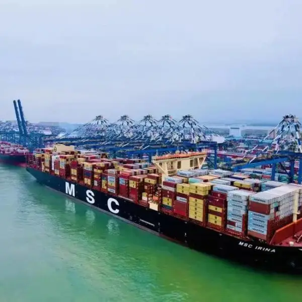 黄埔港进口橄榄油清关代理,西班牙橄榄油报关手续,双清门到门