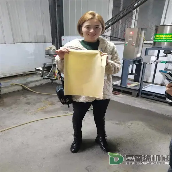 大型豆腐皮机器 全自动豆腐皮机生产视频