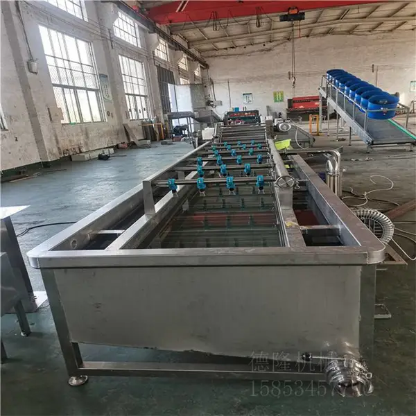 宁津德隆定做大型食品清洗烘干机工业用清洗输送设备