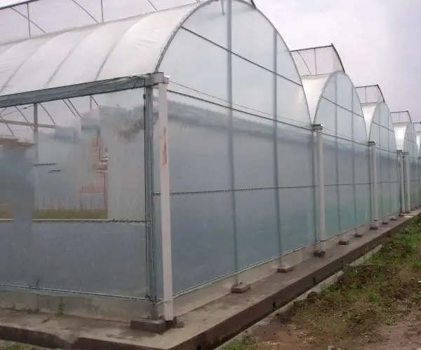 漳州温室大棚建造 龙海温室大棚建设 温室大棚安装