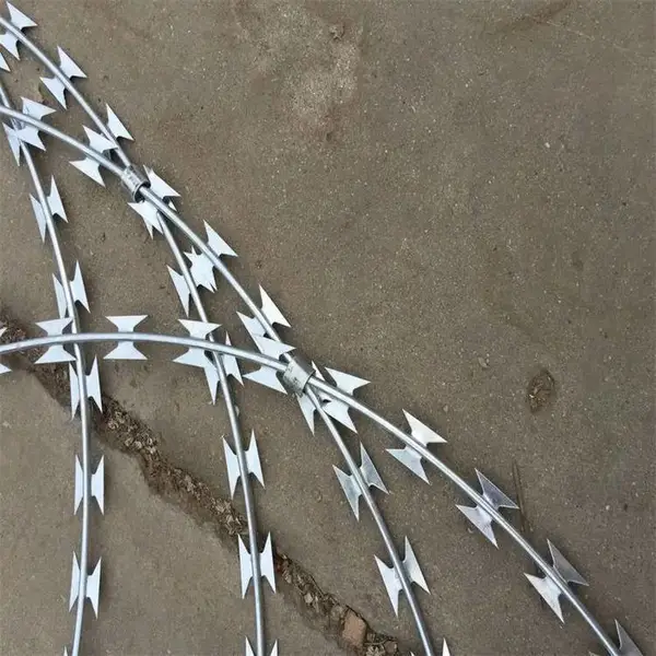 ������·���� ��˿���������� ***��Ƭ����