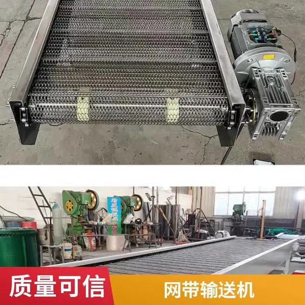 链板提升机 厂家定做花蛤生蚝用不锈钢网带爬坡机 颗粒物料输送机