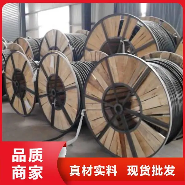 阻燃屏蔽型电源线ZRA-RVVP-2*1.0
