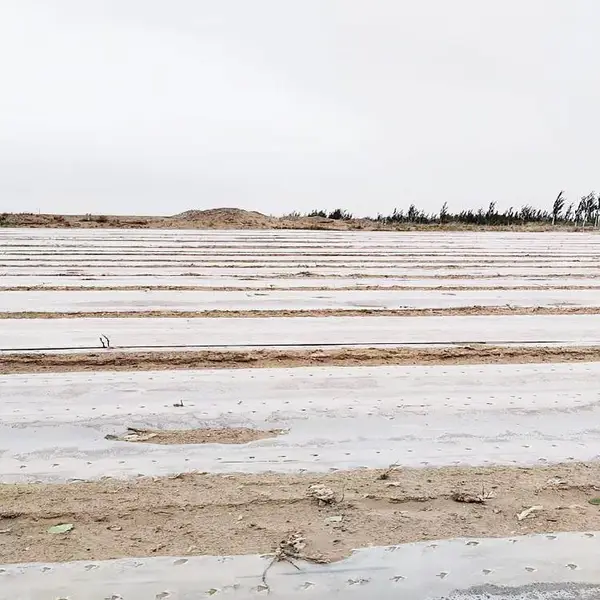 ɽ��Ϋ�������ɳ��ɳ�����ع�·�ֳ�����