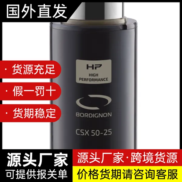 BORDIGNON氮气弹簧CSX 19-25