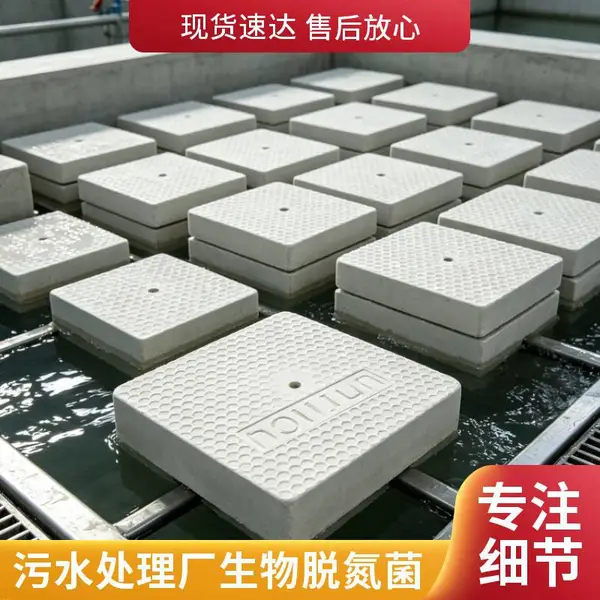 水处理用好氧反硝化脱氮菌块 微生物菌方 反硝化菌砖 供货