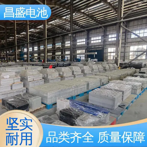 ��ʢ ��ʽ�������� OPzV2-500 ���µȱ��õ�Դ ��ά�����