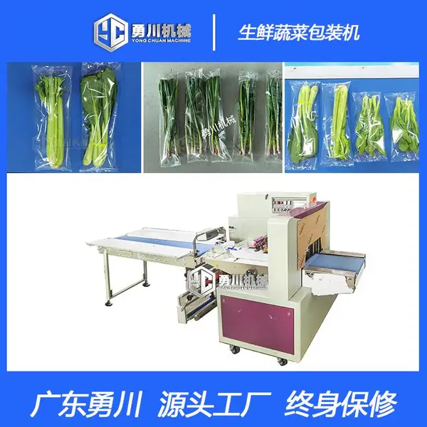 厂家直销全自动新鲜蔬菜包装机