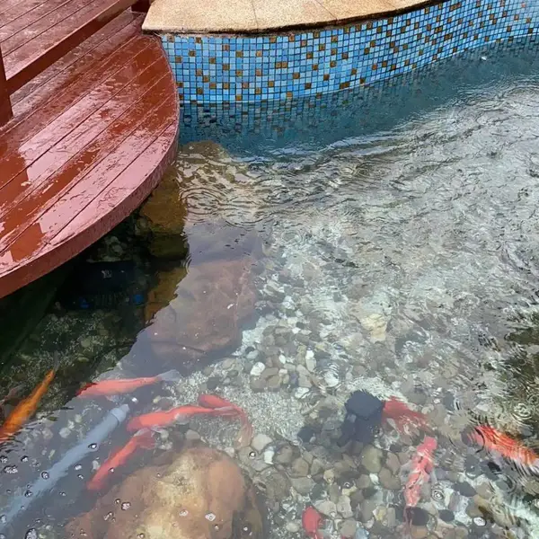 �����й������ˮ����ϵͳ��ư�װ �������軻ˮ