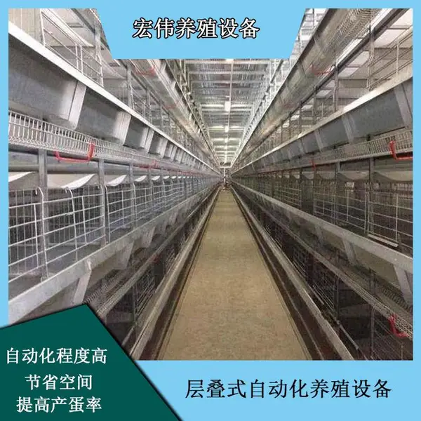 自动化层叠式蛋鸡笼养机械 荥阳宏伟订做金属养殖笼