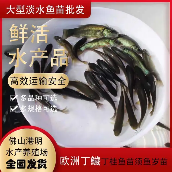 ����ˮ������ŷ�޶��i�������������궡�i ˮ�����������˳�糵˳�������䷽ʽ�ξ���ѡ