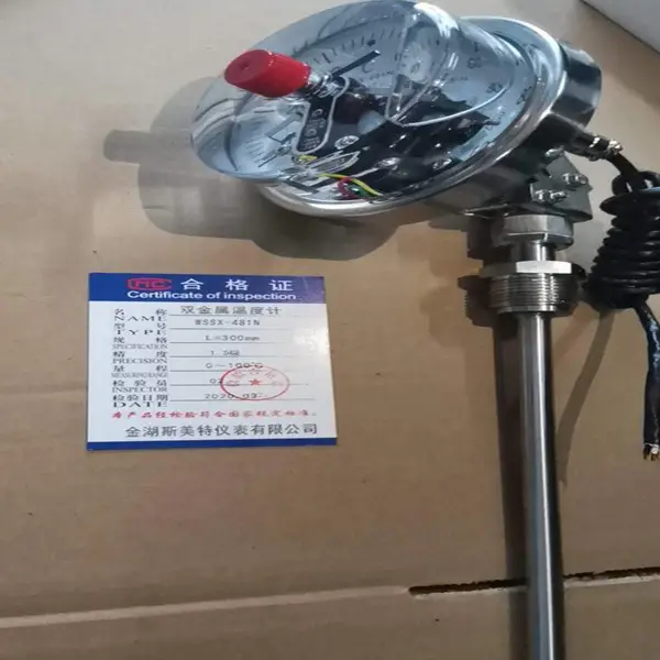 ��ӵ�˫�����¶ȼ�\WSSX-411B\0-100��\500mm\������