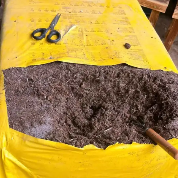 原装品泥炭土工程绿化大棚育苗基质土多肉植物兰花等通用营养土