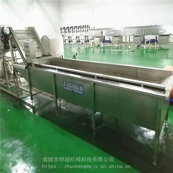 明超水果蔬菜高压喷淋气泡清洗机 多功能 全自动 厂家直供
