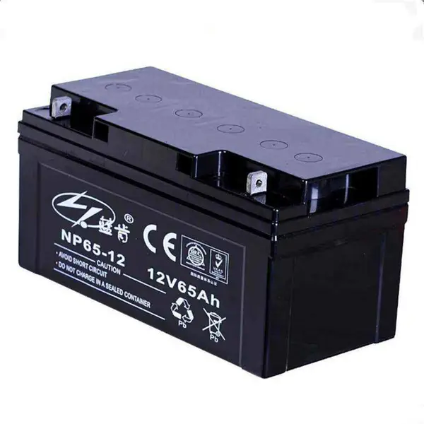 蓝肯蓄电池NP65-12 12V65AH机房配电室 配电柜 直流屏