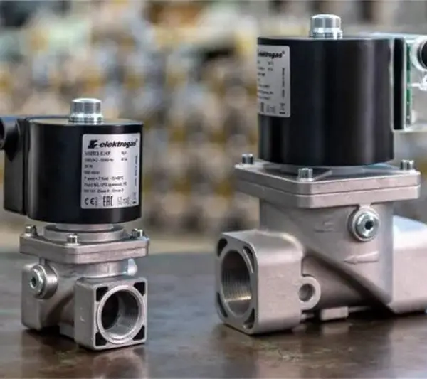 ȫ��ELEKTROGAS��ŷ�