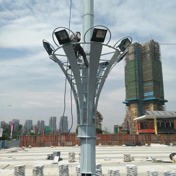 �Ĵ��߸˵������� 25��500w�綯�����㳡�߸˵� ���׹�