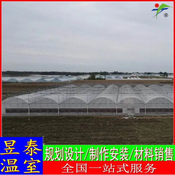 ��̩�������Ҹ��ƹǼܱ�Ĥ���Ǵ�����ư�װYTWSGX1161