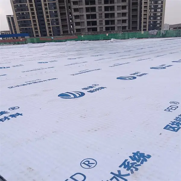 虹吸排水槽 HDPE排水异型片 高分子防护排水板 建筑建材 厂家直发