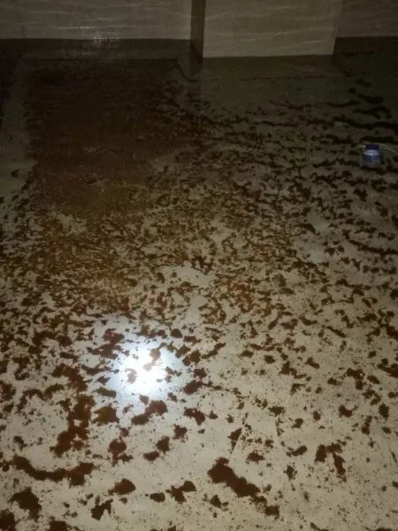 深圳龙华水池清洗消毒出水质检测报告