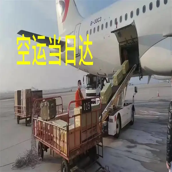 ��Զ ���ջ��� ţ�ܿ��� ��������� �߹�����