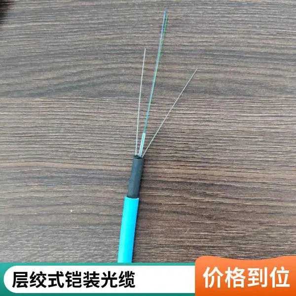 鑫津缆 MGTSV-24B1矿用阻燃通信光缆 层绞式铠装光缆GYTA53-8B1