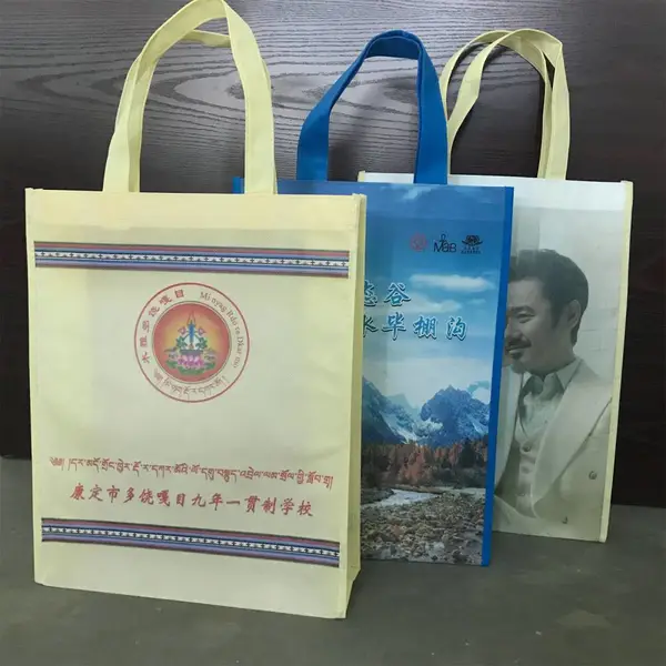 安阳折叠无纺布手提袋 束口袋 环保手提袋价格 环保袋加工厂