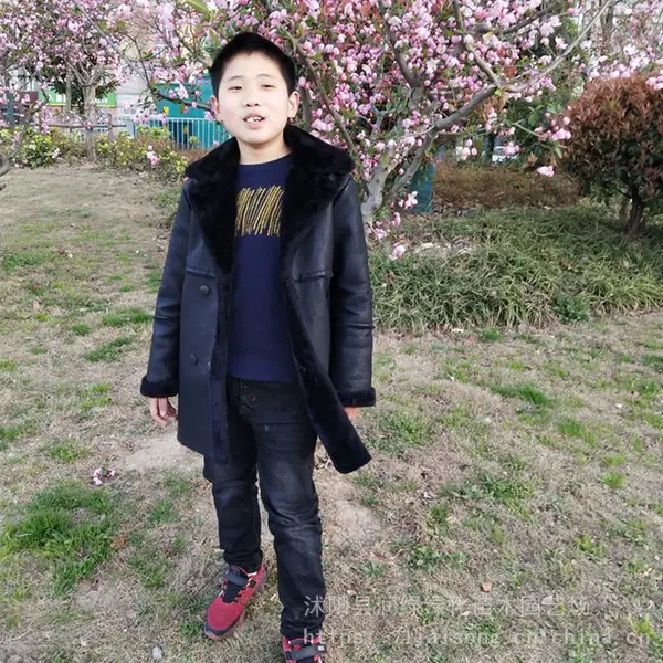风景树苗基地自产自销海棠树西府海棠垂丝红宝石海棠