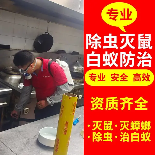 上海 闵行区灭白蚁除虫 餐饮酒店灭小飞虫果蝇 家庭抓老鼠上门